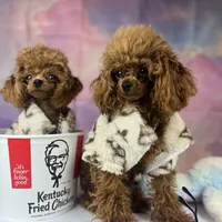 processed/97999e90-3846-46b7-9330-3e7fa773d17e/facility/545b743c-88da-41e1-9644-ee09100509e9