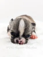 processed/979be412-73d7-4953-9388-3a652b7a6a6f/listing/09921b11-8560-4353-88d2-c7fd4c44353d/295163f6-45e4-4133-ab00-3944966397b2