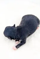 processed/979be412-73d7-4953-9388-3a652b7a6a6f/listing/572aca0f-dd8e-451f-8f71-967fa91d984a/5c7c20c9-72a6-4d22-8855-4bb84bb84baf