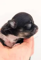 processed/979be412-73d7-4953-9388-3a652b7a6a6f/listing/572aca0f-dd8e-451f-8f71-967fa91d984a/ae3ad35f-d4ba-4ab4-b1dd-1a5a7487472c