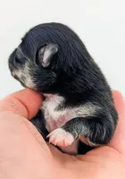 processed/979be412-73d7-4953-9388-3a652b7a6a6f/listing/572aca0f-dd8e-451f-8f71-967fa91d984a/b370a077-6e49-47d0-8410-a22d9c48d77d