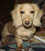 processed/979be412-73d7-4953-9388-3a652b7a6a6f/listing/93497ffb-dcc6-48b8-9a06-2162dee4fd6c/a2a62d11-312e-4ff3-b7e2-ed42b65e34e9