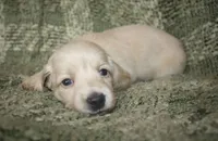 processed/979be412-73d7-4953-9388-3a652b7a6a6f/listing/93497ffb-dcc6-48b8-9a06-2162dee4fd6c/e3c96cce-1528-4818-9b17-545687e0a7e6