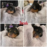 processed/979d51d1-7705-4ffb-99b5-941ce9769fe6/listing/814f2639-8237-4802-be5a-46d1080be25d/0b0beac1-00fc-482f-8cb5-0270a51e5c1b