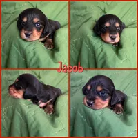 processed/979d51d1-7705-4ffb-99b5-941ce9769fe6/listing/814f2639-8237-4802-be5a-46d1080be25d/24dc1e2d-3c44-4cf5-b4f1-7eb5cd09a3f4