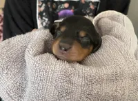 processed/979d51d1-7705-4ffb-99b5-941ce9769fe6/listing/814f2639-8237-4802-be5a-46d1080be25d/5c68dd41-ced1-49e5-b7ce-ca80003c643c