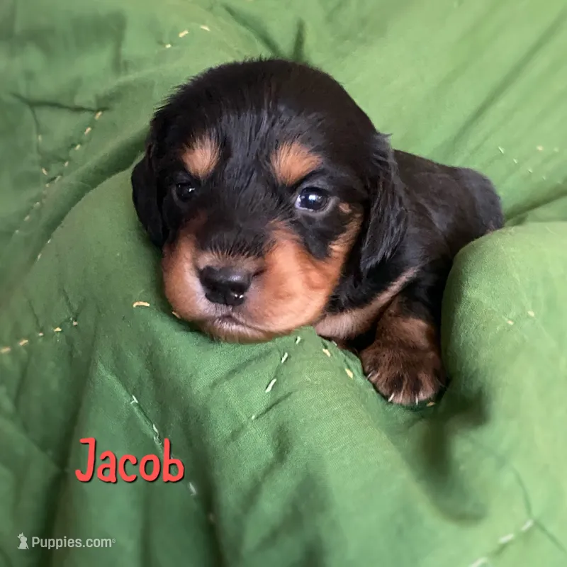 Jacob