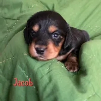 processed/979d51d1-7705-4ffb-99b5-941ce9769fe6/listing/814f2639-8237-4802-be5a-46d1080be25d/97a7971e-a48d-49ce-8798-3e05662fadf3