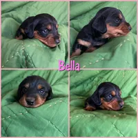 processed/979d51d1-7705-4ffb-99b5-941ce9769fe6/listing/bbb79765-58d5-4e76-bbd3-07f0433a25c1/81d1c1b9-b0ec-44ee-9657-1539ed0ae914