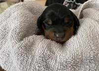 processed/979d51d1-7705-4ffb-99b5-941ce9769fe6/listing/bbb79765-58d5-4e76-bbd3-07f0433a25c1/9b29911d-845a-43b8-b4e9-d777e469f7f7