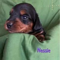 processed/979d51d1-7705-4ffb-99b5-941ce9769fe6/listing/e94426ec-7735-4819-8dd0-55cd4df1ba4f/072594f0-8031-49a3-8e21-361347f7cf61