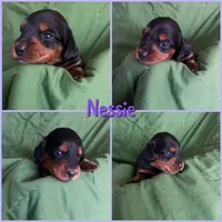 processed/979d51d1-7705-4ffb-99b5-941ce9769fe6/listing/e94426ec-7735-4819-8dd0-55cd4df1ba4f/a60af3d4-7199-4cbc-8ec8-e3cca9aabc35