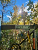 processed/979ec57f-b786-4954-8727-330c4dbf68fd/facility/24e1b53c-bbe6-4621-ade7-522f41c5981d