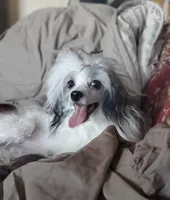 processed/979ec57f-b786-4954-8727-330c4dbf68fd/facility/3c47b035-a52c-4822-950b-98a721c08ee4