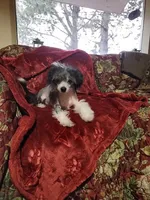 processed/979ec57f-b786-4954-8727-330c4dbf68fd/facility/4db38d1b-af3f-447f-9ebc-f66241362205