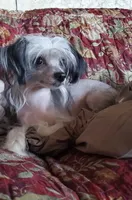 processed/979ec57f-b786-4954-8727-330c4dbf68fd/facility/d61ada20-1e56-4a35-a20d-93aaf4b0bf6f