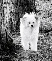 processed/979ec57f-b786-4954-8727-330c4dbf68fd/facility/f2624a9f-6e5b-431a-a3f7-b5ed5c2aa57d