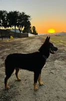 processed/97a9d72a-9fd8-446c-b9bb-3361f673fb7d/listing/859e1cb3-f477-4c9a-91d4-6858e7c7b14b/2a27a42d-9845-4868-a88f-125acf325cd3