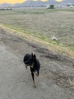 processed/97a9d72a-9fd8-446c-b9bb-3361f673fb7d/listing/859e1cb3-f477-4c9a-91d4-6858e7c7b14b/51e0c902-15bd-46fb-9c19-e231a86d0729