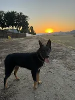 processed/97a9d72a-9fd8-446c-b9bb-3361f673fb7d/listing/859e1cb3-f477-4c9a-91d4-6858e7c7b14b/660a1ec8-f09e-43dd-89d3-84d6e8606d50