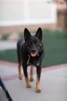 processed/97a9d72a-9fd8-446c-b9bb-3361f673fb7d/listing/859e1cb3-f477-4c9a-91d4-6858e7c7b14b/c2c137c9-dda7-4930-9048-2d7581c33a61