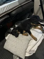 processed/97a9d72a-9fd8-446c-b9bb-3361f673fb7d/listing/859e1cb3-f477-4c9a-91d4-6858e7c7b14b/d4f9c14d-89ce-41fb-a2da-8666e2ef26dc