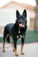 processed/97a9d72a-9fd8-446c-b9bb-3361f673fb7d/listing/859e1cb3-f477-4c9a-91d4-6858e7c7b14b/e413cff6-7a79-4634-bda3-47ae72d3dd51