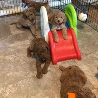 Facility photo