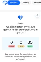 #5 Girl, a female Goldendoodle and Labradoodle for sale in Pierceton, IN – Photo 10 of 10