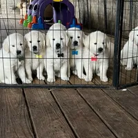 processed/97b70ff2-0037-4a91-bd52-721c3539d059/facility/955abed4-2b9a-4f03-93c4-42329d6e8a6f