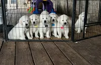 processed/97b70ff2-0037-4a91-bd52-721c3539d059/facility/955abed4-2b9a-4f03-93c4-42329d6e8a6f