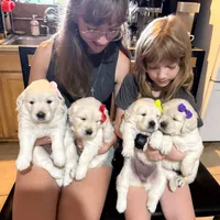 processed/97b70ff2-0037-4a91-bd52-721c3539d059/facility/dc03febc-65d9-4eea-8b9b-0de669542f39