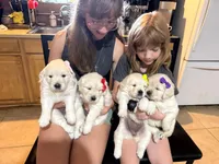 processed/97b70ff2-0037-4a91-bd52-721c3539d059/facility/dc03febc-65d9-4eea-8b9b-0de669542f39