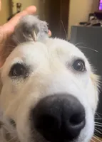 processed/97c3bc9f-b85f-442b-a773-34919ec921ab/listing/7372d4b6-8569-4e53-ae64-049e4ada4a9d/18d344dd-757e-499e-a885-dcda57cb90db