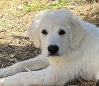 processed/97c3bc9f-b85f-442b-a773-34919ec921ab/listing/7372d4b6-8569-4e53-ae64-049e4ada4a9d/1efc4a53-45b4-4102-81ec-60d386194a9b