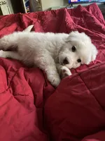 processed/97c3bc9f-b85f-442b-a773-34919ec921ab/listing/7372d4b6-8569-4e53-ae64-049e4ada4a9d/8799ecf6-2a59-4a02-b4a3-5c1925b2efaf