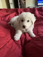 processed/97c3bc9f-b85f-442b-a773-34919ec921ab/listing/7372d4b6-8569-4e53-ae64-049e4ada4a9d/c0a7cef4-cb3e-4da8-9b0b-0444abd0d4aa