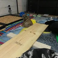 processed/97d5d2ad-2caf-4ea1-85b8-c62e360dd8a0/facility/3953a3aa-8698-4d09-a47b-b1fddb24c7f6