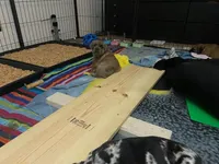 processed/97d5d2ad-2caf-4ea1-85b8-c62e360dd8a0/facility/3953a3aa-8698-4d09-a47b-b1fddb24c7f6