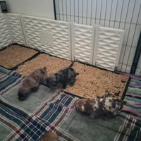 processed/97d5d2ad-2caf-4ea1-85b8-c62e360dd8a0/facility/405c93a2-9b73-4d4c-abf8-a7c07f5b7326