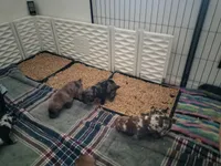 processed/97d5d2ad-2caf-4ea1-85b8-c62e360dd8a0/facility/405c93a2-9b73-4d4c-abf8-a7c07f5b7326