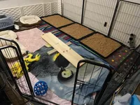 processed/97d5d2ad-2caf-4ea1-85b8-c62e360dd8a0/facility/79eacf58-6290-42bd-8421-e00850bc21c9