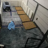 processed/97d5d2ad-2caf-4ea1-85b8-c62e360dd8a0/facility/a26f2772-a851-4ca4-80a8-117064926761