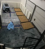 processed/97d5d2ad-2caf-4ea1-85b8-c62e360dd8a0/facility/a26f2772-a851-4ca4-80a8-117064926761