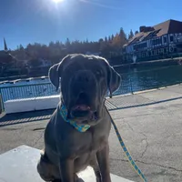 processed/97d5d2ad-2caf-4ea1-85b8-c62e360dd8a0/facility/d25075a4-764d-48e6-bed5-b2b141f8e818