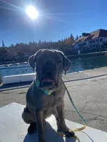 processed/97d5d2ad-2caf-4ea1-85b8-c62e360dd8a0/facility/d25075a4-764d-48e6-bed5-b2b141f8e818