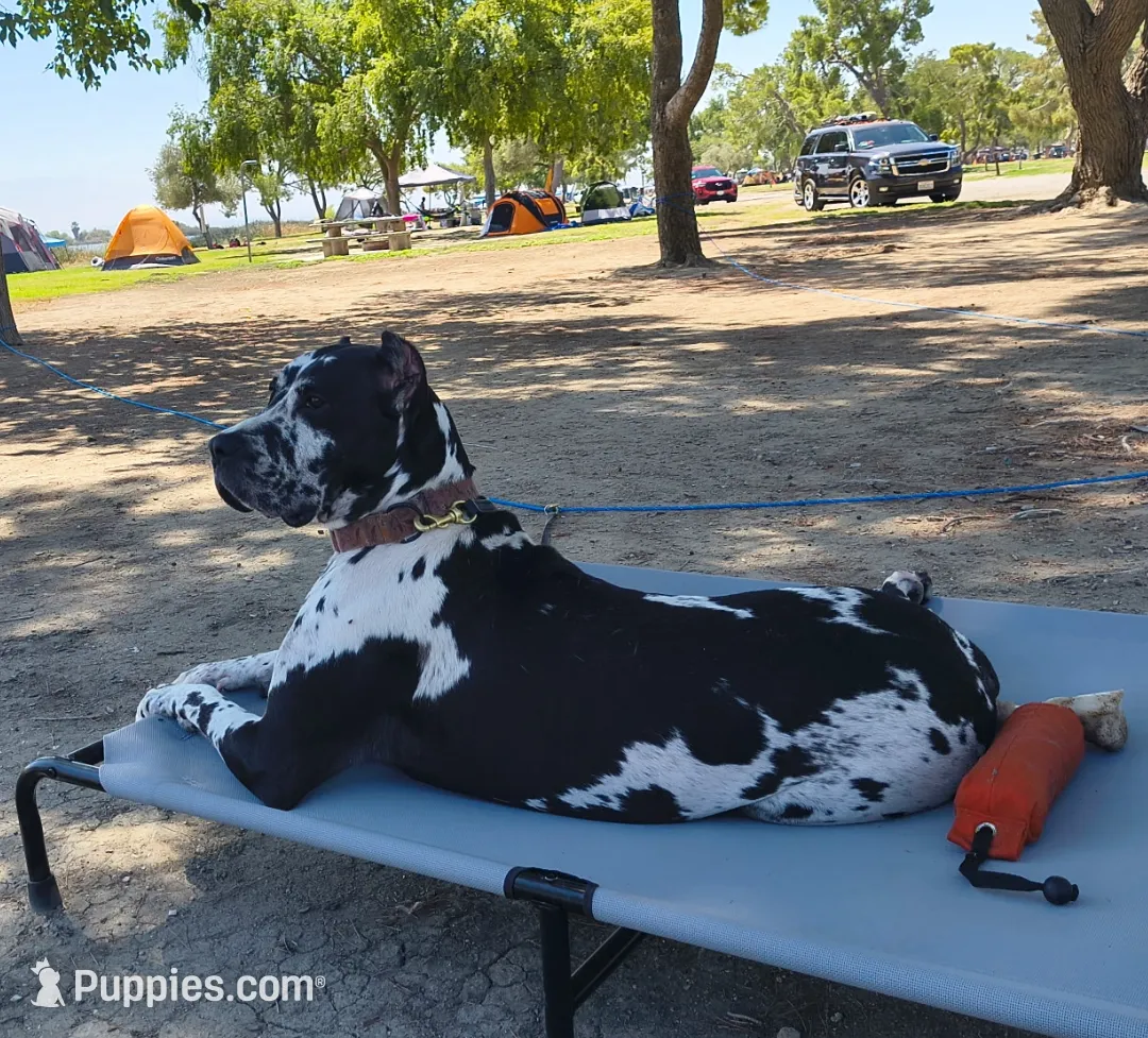 processed/97d5d2ad-2caf-4ea1-85b8-c62e360dd8a0/listing/1d615a73-4a59-4368-9f16-8da402adbe8f/36235ac4-2a8b-48a4-9e44-44da4145c09c