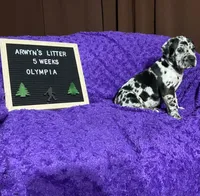 processed/97d5d2ad-2caf-4ea1-85b8-c62e360dd8a0/listing/1d615a73-4a59-4368-9f16-8da402adbe8f/3b13d299-68b4-4e3f-9b50-3ac75a65303a