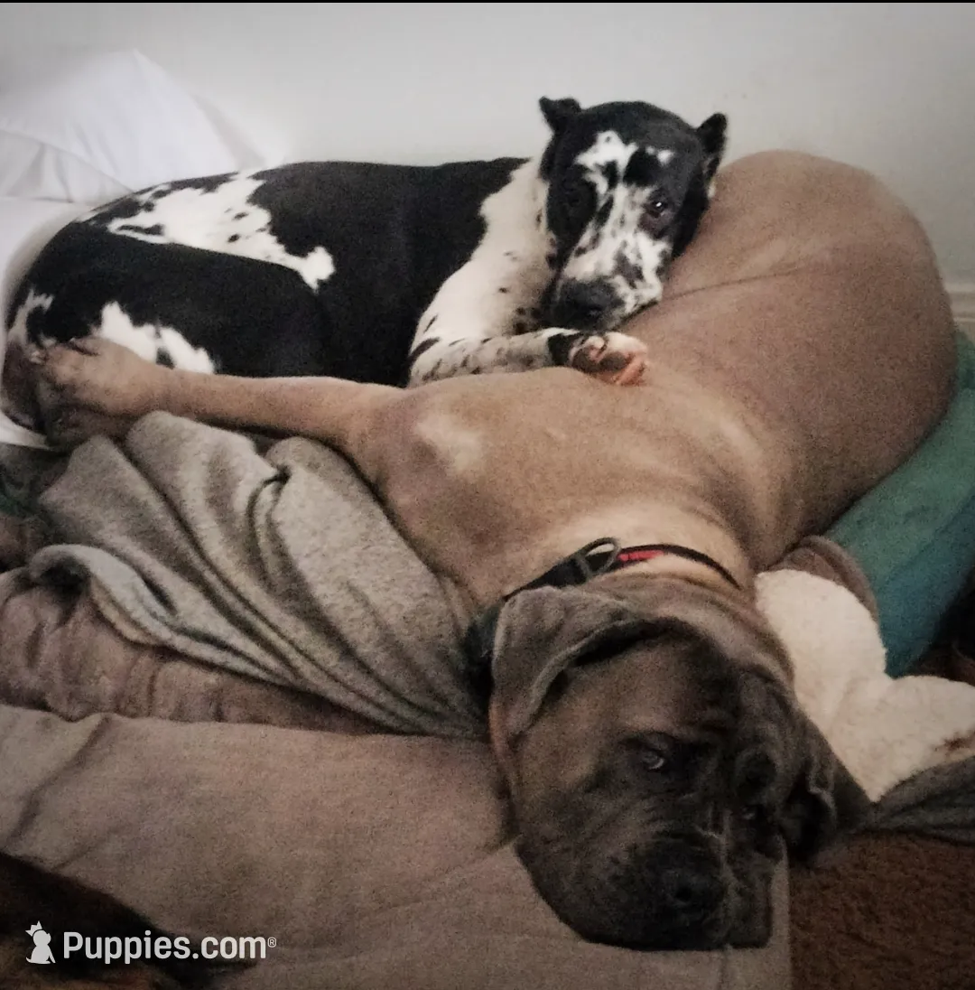 processed/97d5d2ad-2caf-4ea1-85b8-c62e360dd8a0/listing/1d615a73-4a59-4368-9f16-8da402adbe8f/3c63633a-93e3-4ee3-93f4-3f86cb89fc31