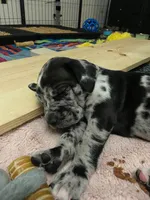 processed/97d5d2ad-2caf-4ea1-85b8-c62e360dd8a0/listing/1d615a73-4a59-4368-9f16-8da402adbe8f/b8aa665b-cfd3-496b-a2fe-0d3cf85fa8ee